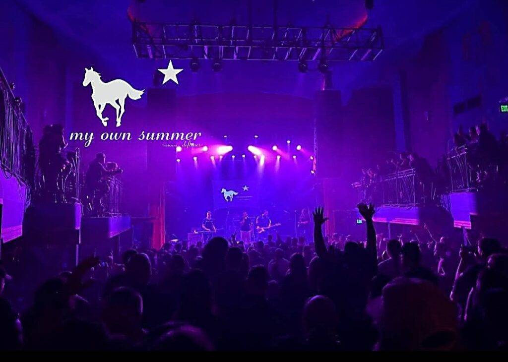 n nissis entertainment events