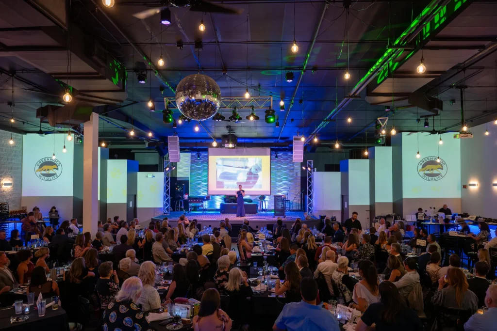 Guests seated for an event facing Nissi’s stage and projection screen
